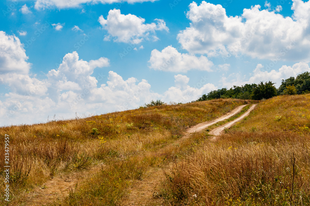 Summer landscape with hill, dirt road, meadow and blue sky with white clouds
