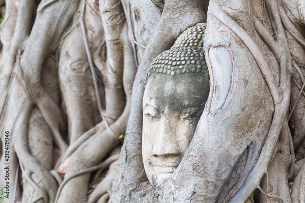 Obraz premium buddha statue