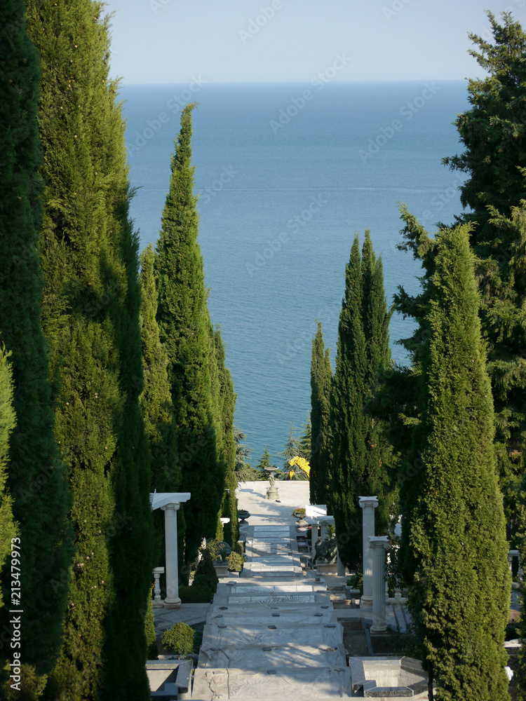 Alley with slender tall bushes on the sides leads directly to the warm waves of the blue sea