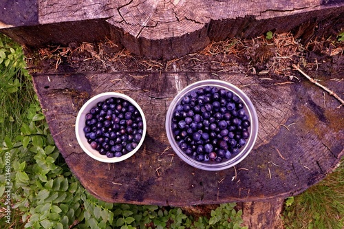 Fruits