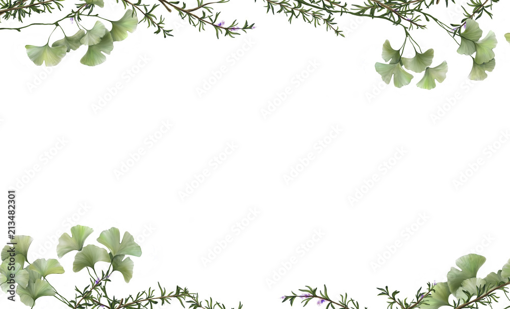 beautiful white banner with painted ginkgo leaves and rosemary beautiful white banner with painted ginkgo leaves and rosemary