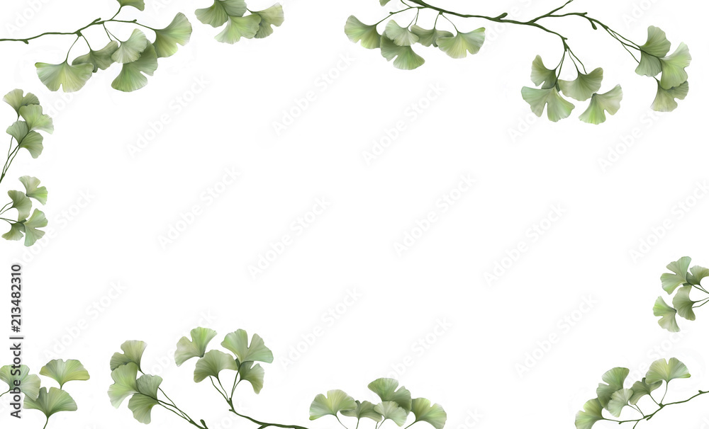 beautiful white banner with painted ginkgo leaves