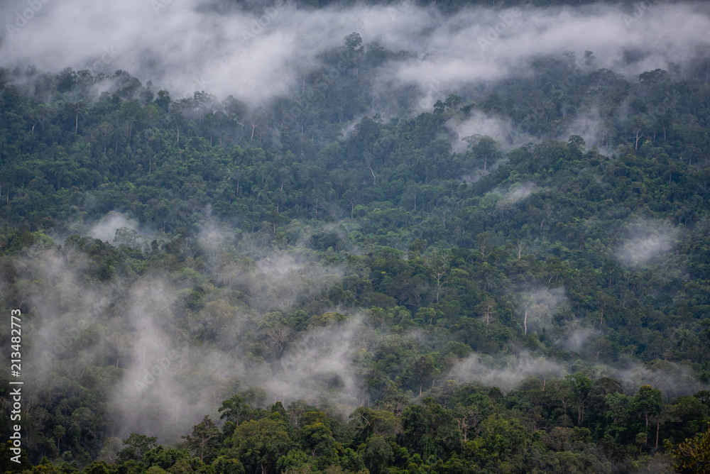 Fog down the hill