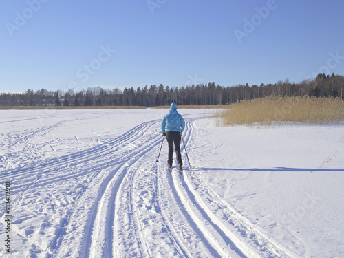 Cross country skier skiing on classical style track while bright winter sun shines.