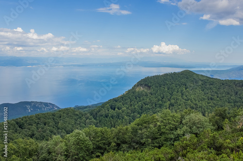 summer green nature forest mountain sea landscape from above with beautiful view on paradise island