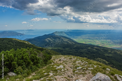 Wallpaper Mural summer green nature forest mountain  sea landscape from above with beautiful view on paradise island Torontodigital.ca