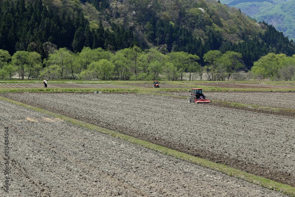 Naklejka premium 春の田起こし