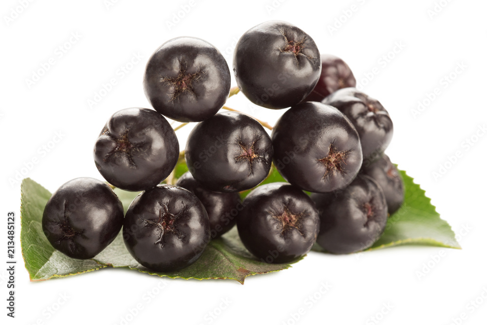 Close up of aronia chokeberry isolated on white. Close up of aronia chokeberry isolated on white.