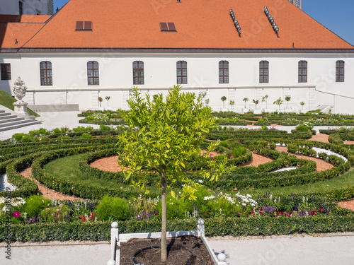 Photography Bratislava an der donau