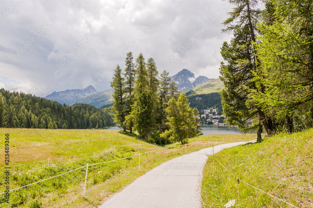 St. Moritz, St. Moritzersee, Stazerwald, Oberengadin, Alpen, Piz Nair, Piz Julier, Wanderweg, Lärche, Graubünden, Sommer, Schweiz