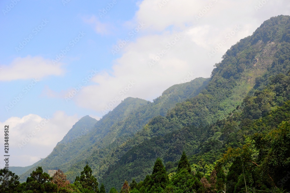 Mountains and Forests in Sitou, Nantou, Taiwan