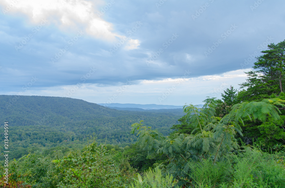 A variety of plants frame a view of a valley looking towards Anniston, Alabama, USA from a scenic overlook in the Talladega National Forest