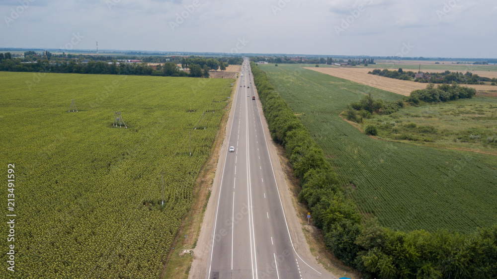 Aerial top view of summer green trees, river, roads in forest background. Drone photography. Coniferous and deciduous trees, forest road. Beautiful panoramic photo over the tops of pine forest.