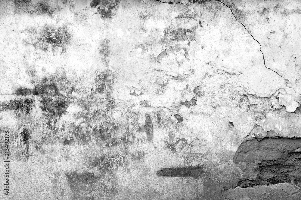 Fototapeta premium grunge wall background