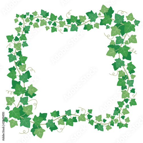 Vine ivy green leaves frame. Climbing plant greenery rectangular border. Floral creeper leaf isolated vector illustration