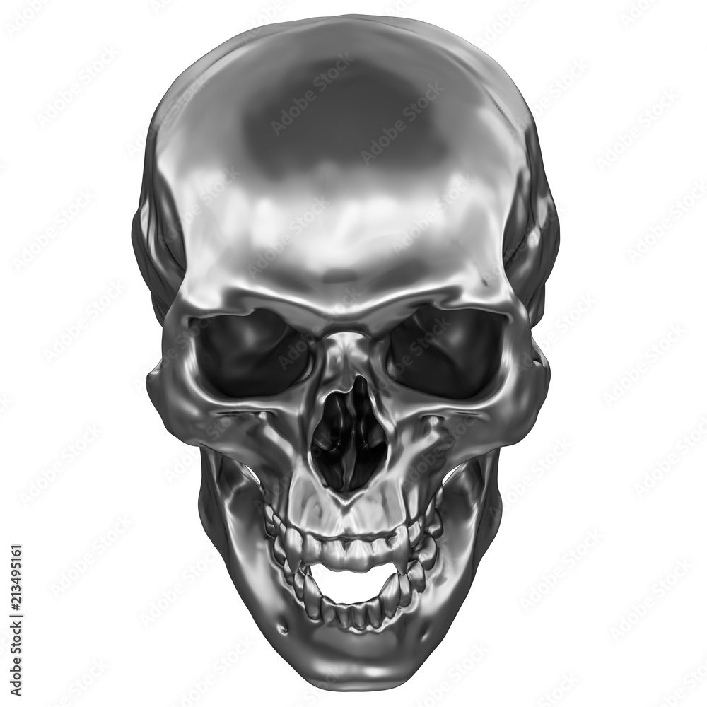 Fototapeta premium Metallic Human Skull
