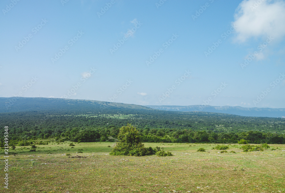 landscape of green fields and blue sky