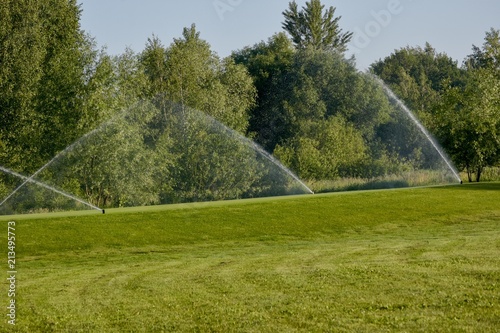 Lawn Sprinkler in Action. Garden Sprinkler Watering Grass. Automatic Sprinklers