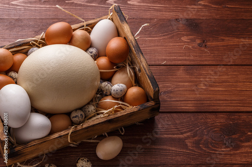 Different size eggs on a straw in a box, place for wording