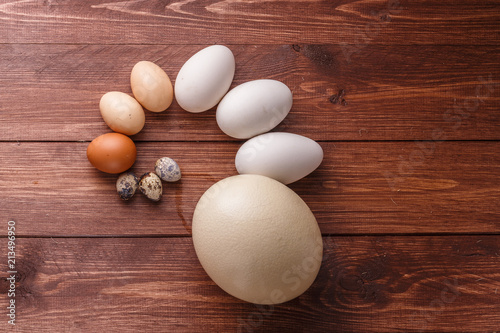 Quail eggs, hen eggs, goose eggs, ostricg egg