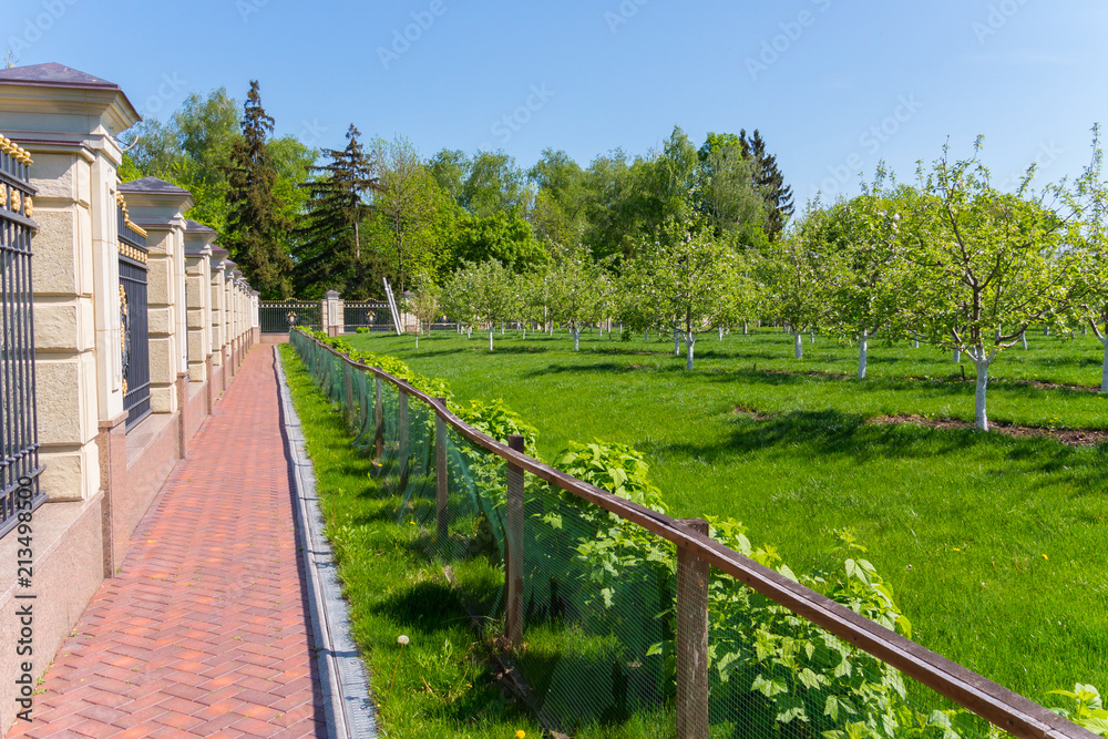A path of tiles under a beautiful fence around the garden with young apple trees