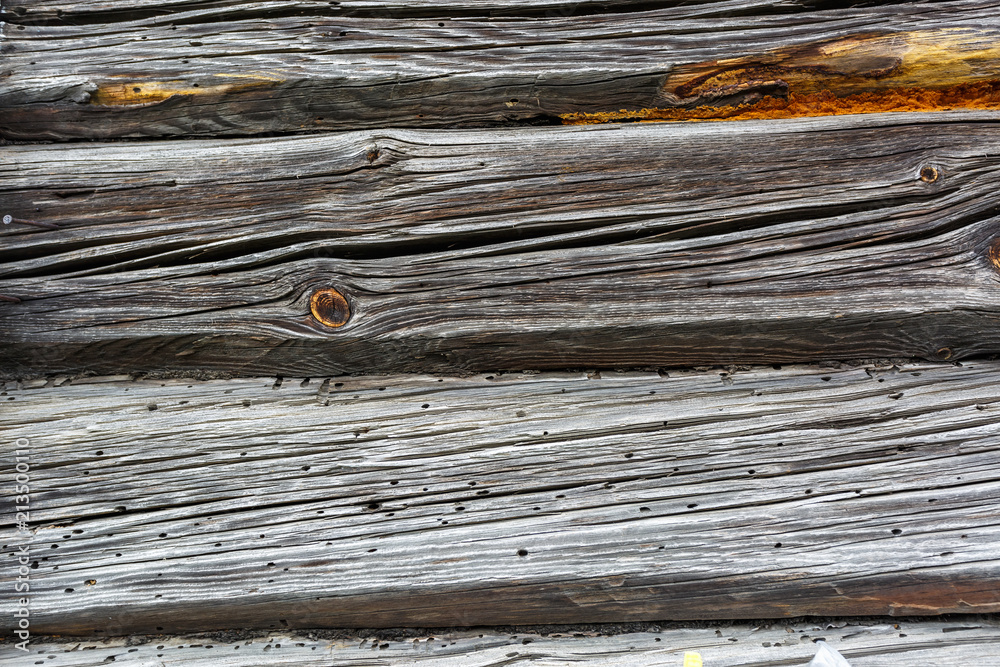 Fototapeta premium wooden gray frame texture of old house with burrow eaten bark beetle