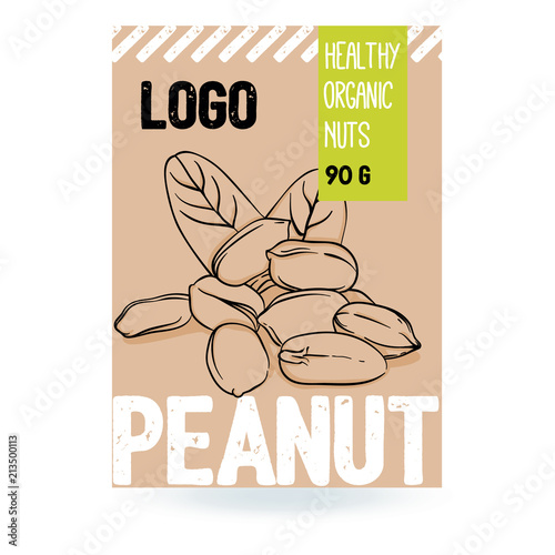 Beautiful vector hand drawn peanut organic nut. Template elements collection for packaging design. Modern illustrations isolated on white background.