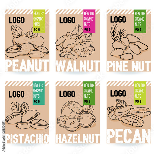 Beautiful vector hand drawn organic nut card set. Walnut, pine nut, pistachio, peanut, hazelnut, pecan. Template elements collection for packaging design. Modern illustrations isolated.