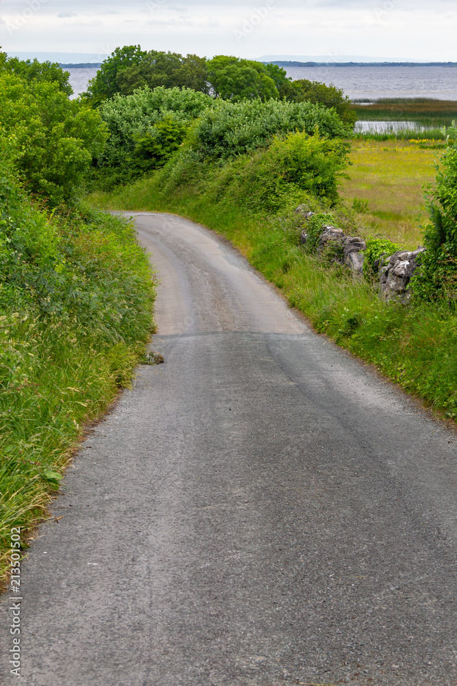 Obraz premium Road and Farm meadow with Lough Corrib in background