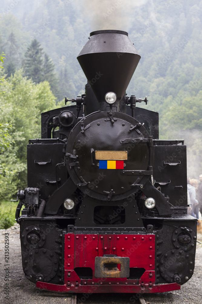 Obraz premium Locomotive Front