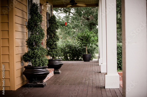 Large front porch with greenery.  © Amber