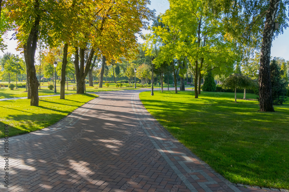 A wide alley in the park is paved with tiles with green lawns and trees with yellowing foliage on a bright sunny afternoon.