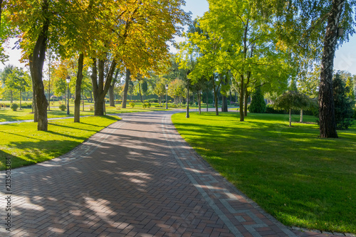 A wide alley in the park is paved with tiles with green lawns and trees with yellowing foliage on a bright sunny afternoon.