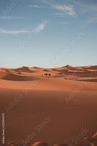 Sahara sand dune 4