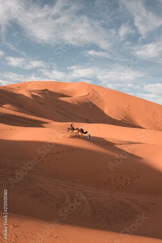 Sahara sand dunes 6