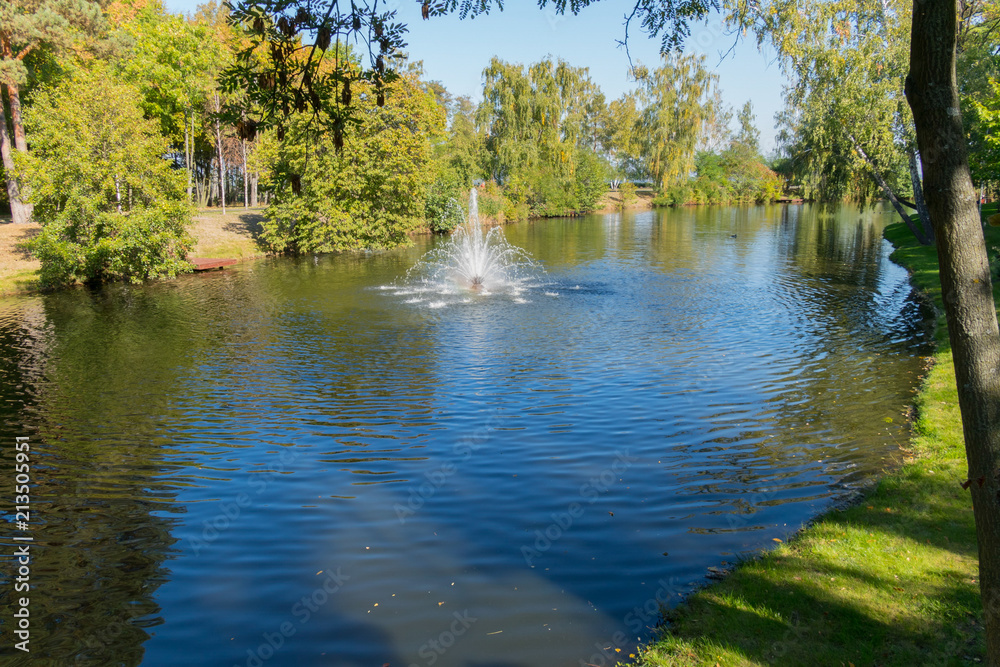 Fototapeta premium Pond with clear water and a small fountain against the background of green lawns