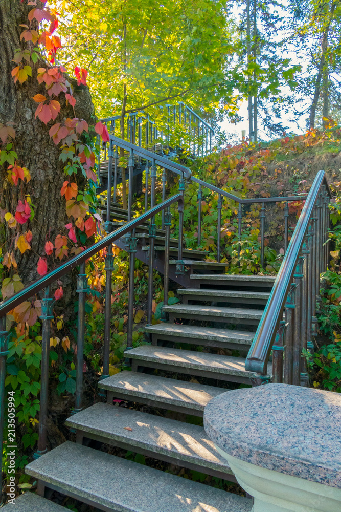 A winding steep staircase with stone steps and iron rails against the  background of beautiful climbing plants Stock Photo