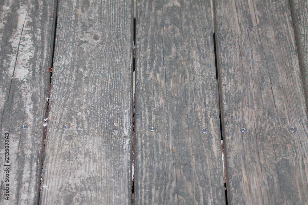 Fototapeta premium Wood texture