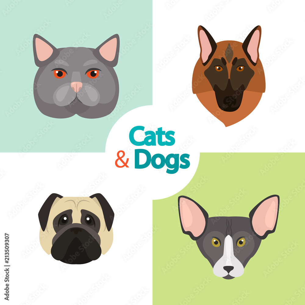 Different cats and dogs breeds muzzles color vector icons set. Flat design