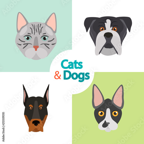 Different cats and dogs breeds muzzles color vector icons set. Flat design