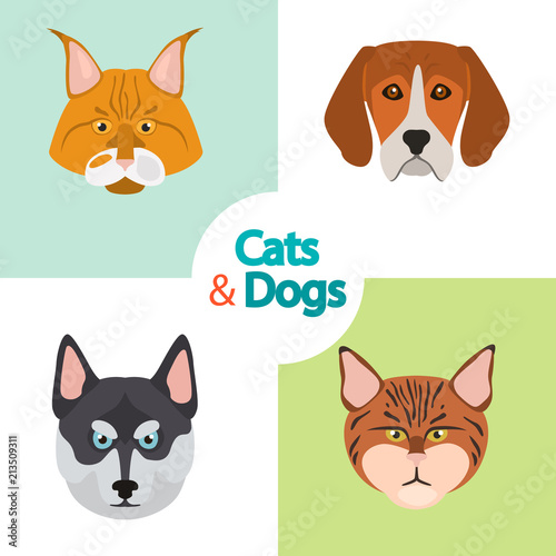 Different cats and dogs breeds muzzles color vector icons set. Flat design