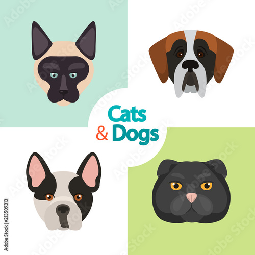Different cats and dogs breeds muzzles color vector icons set. Flat design