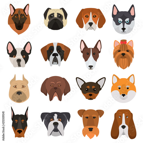 Different dogs breeds muzzles color vector icons set. Flat design