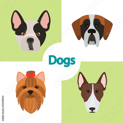 Different dogs breeds muzzles color vector icons set. Flat design