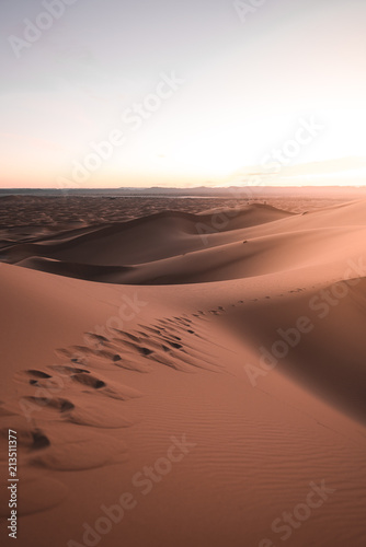 Footsteps in the Sahara des...