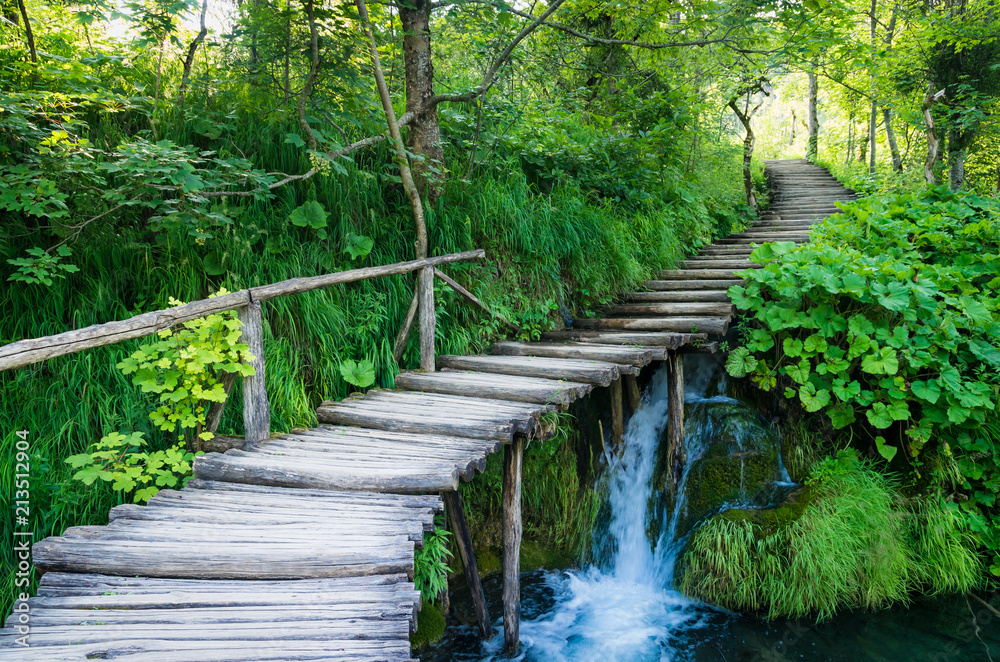 Fototapeta premium Park Narodowy Plitvice, Chorwacja. Ścieżka drewniane deski przez zielony las i nad wodą