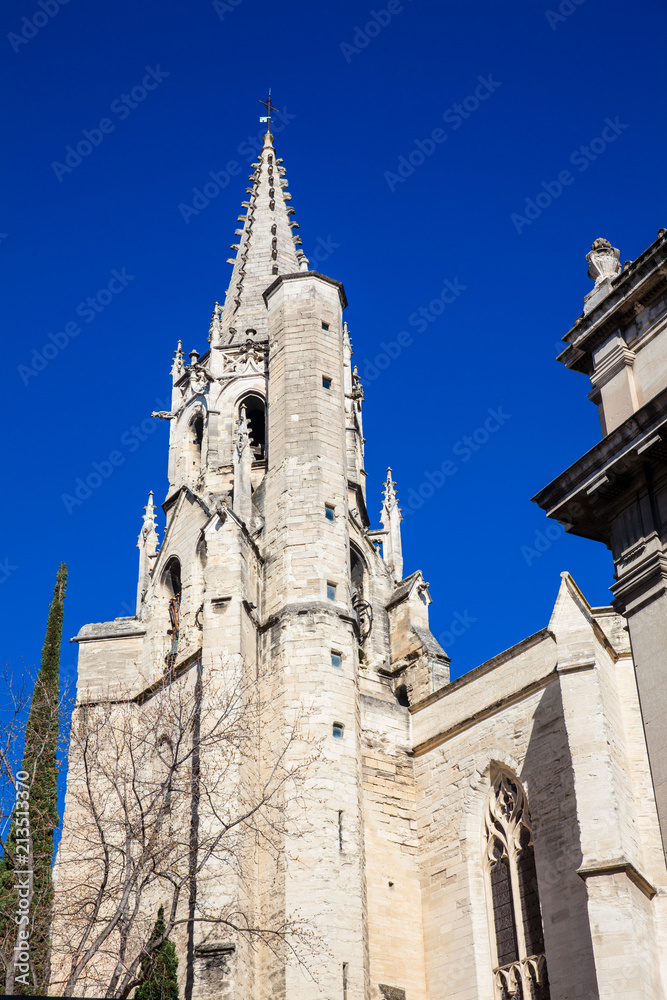 Basilica of Saint Peter in Avignon France