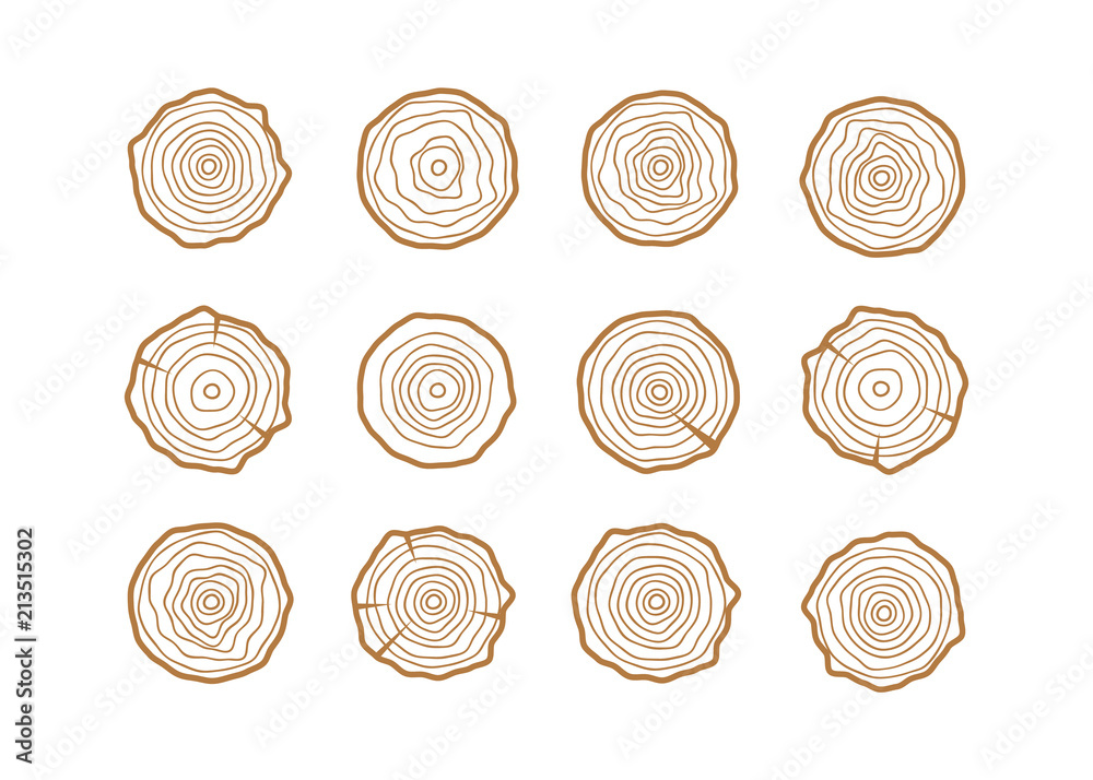 Tree rings background. Abstract age annual circle tree vector Tree rings background. Abstract age annual circle tree vector
