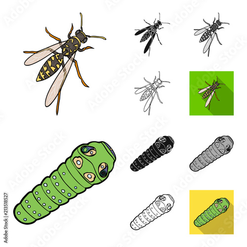 Different kinds of insects cartoon,black,flat,monochrome,outline icons in set collection for design. Insect arthropod vector isometric symbol stock web illustration.
