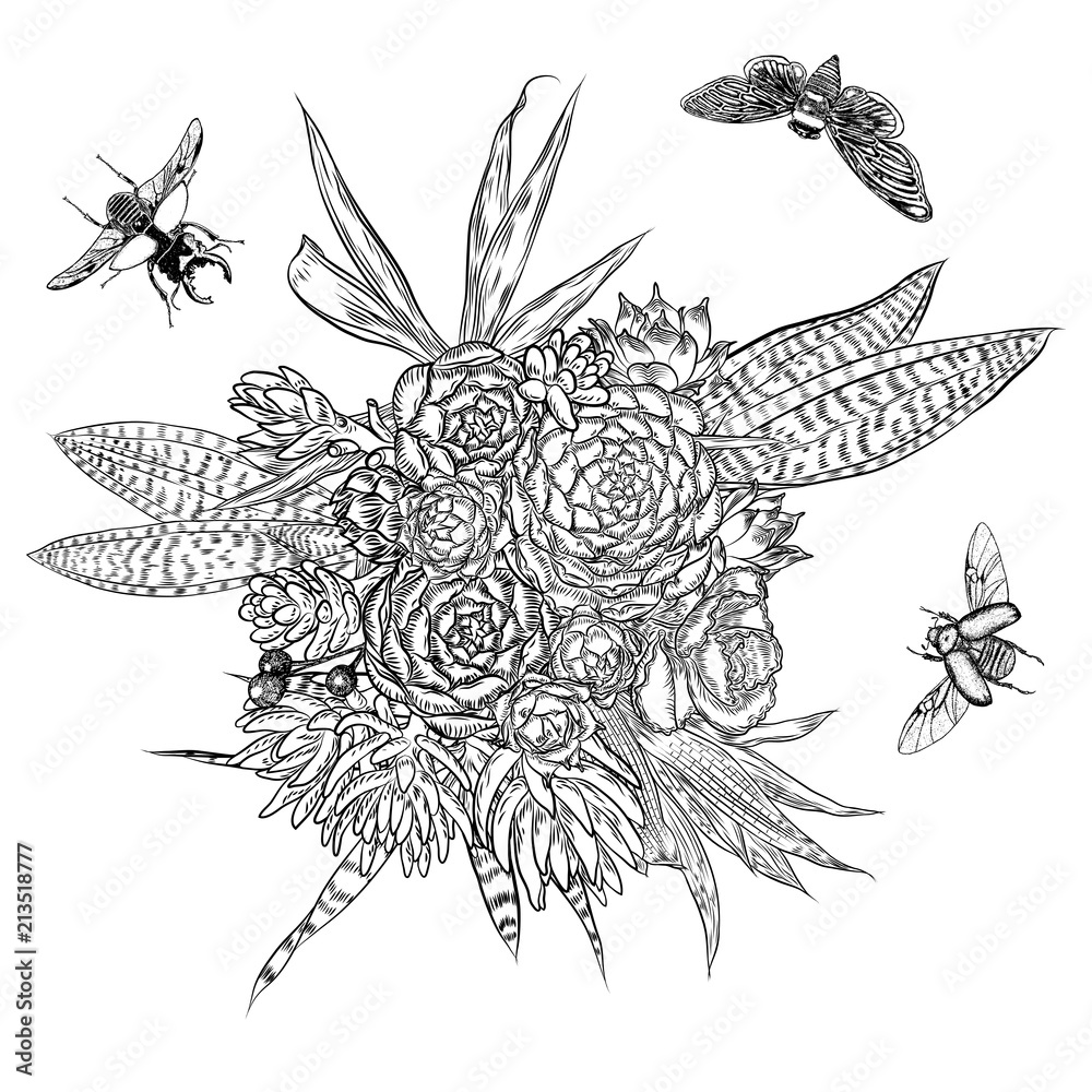Obraz premium Exotic bouquet set with insects and bugs flying. Flowers. Floral collection with various plants. Sansevieria, snake plant, Red ginger, ostrich plume, pink cone, daisy, roses. Hand drawn. Vector.